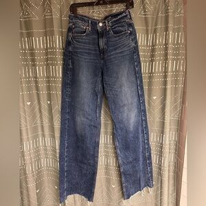 High Waist Wide Leg AE Jeans
